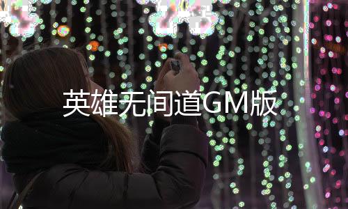 英雄无间道GM版