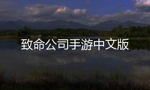 致命公司手游中文版