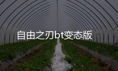 自由之刃bt变态版