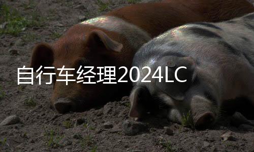 自行车经理2024LCM2024官方版