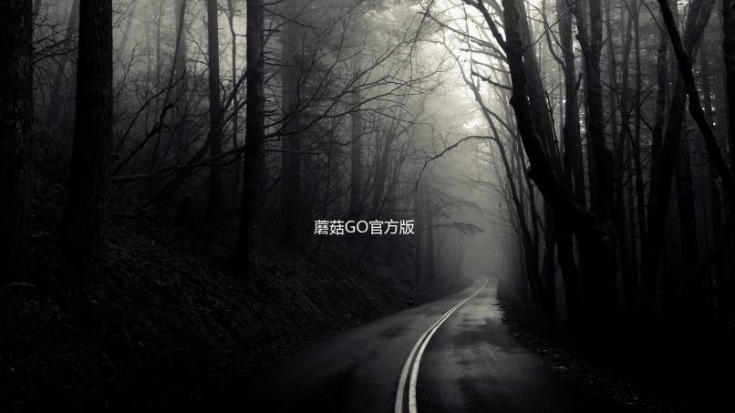 蘑菇GO官方版