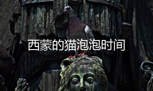 西蒙的猫泡泡时间