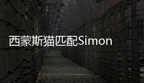 西蒙斯猫匹配SimonsCat Match金币不减