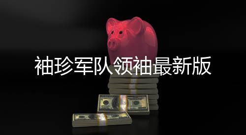 袖珍军队领袖最新版