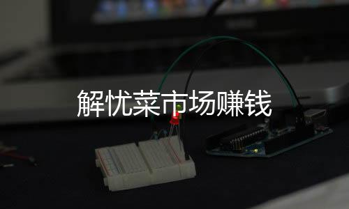 解忧菜市场赚钱