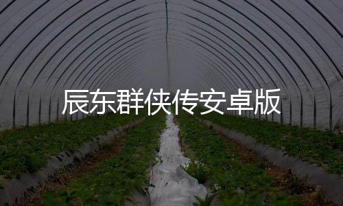 辰东群侠传安卓版