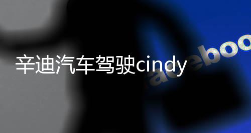 辛迪汽车驾驶cindycardrive模组
