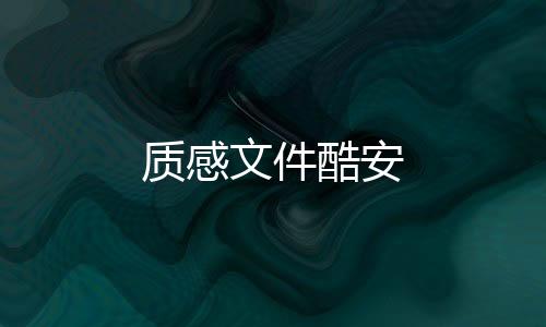 质感文件酷安
