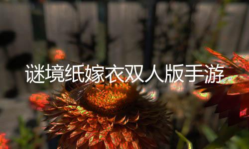 谜境纸嫁衣双人版手游