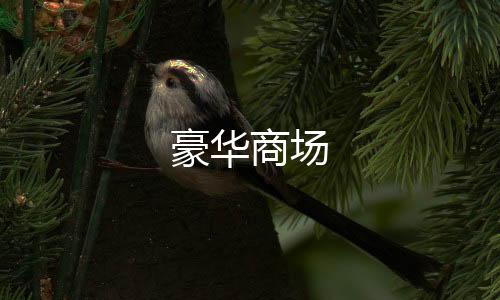 豪华商场