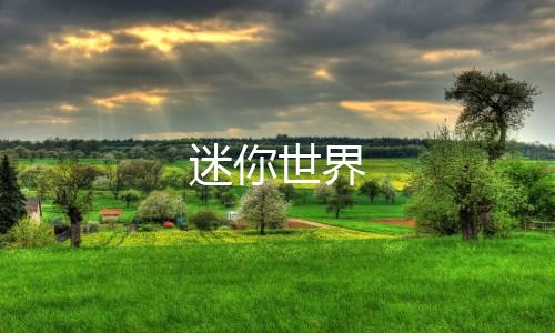 迷你世界