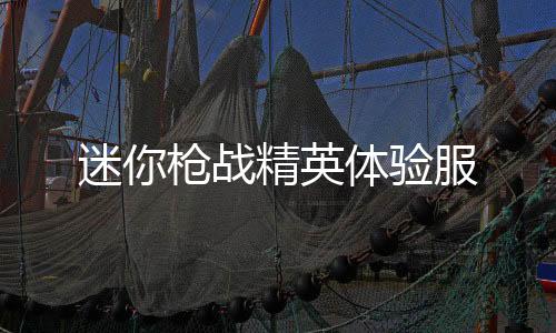 迷你枪战精英体验服