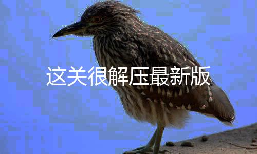 这关很解压最新版