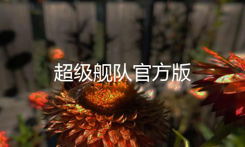 超级舰队官方版