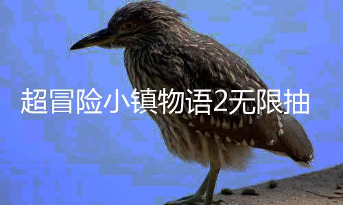 超冒险小镇物语2无限抽