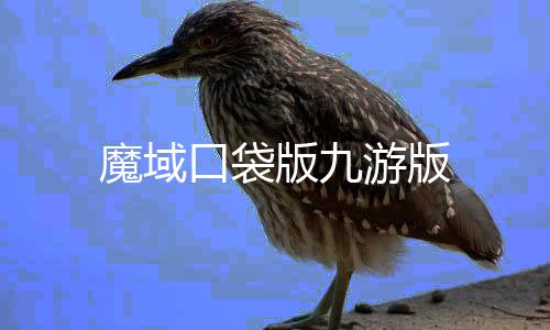 魔域口袋版九游版
