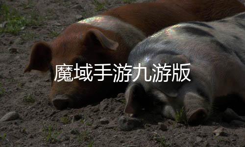 魔域手游九游版