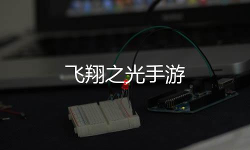 飞翔之光手游