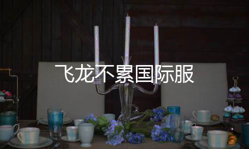 飞龙不累国际服