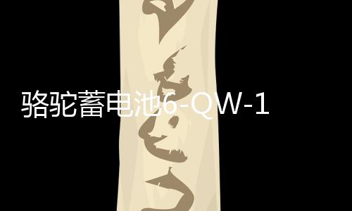 骆驼蓄电池6-QW-180适用东风卡车客车货车工程汽车电瓶 以旧换新
