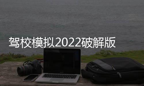 驾校模拟2022破解版完整版(Car Driving School Simulator)