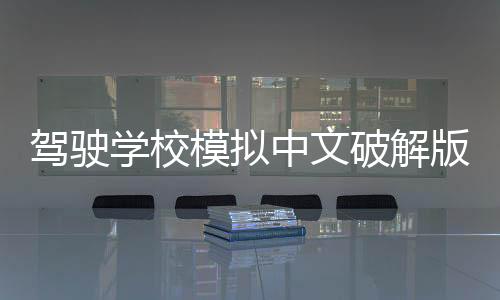 驾驶学校模拟中文破解版(Driving School Sim)