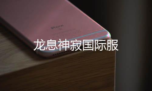 龙息神寂国际服