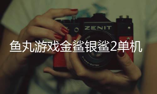鱼丸游戏金鲨银鲨2单机版赢钱
