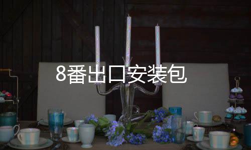 8番出口安装包