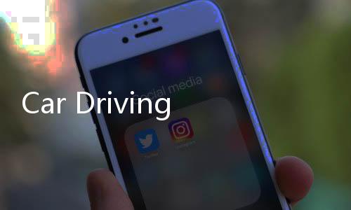 Car Driving School Simulator驾校模拟2020