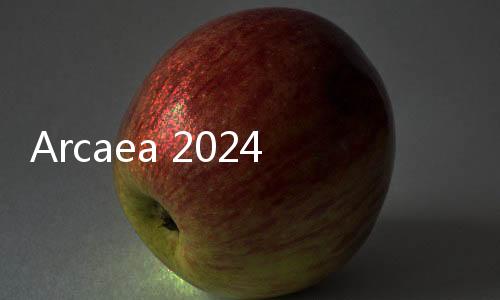 Arcaea 2024