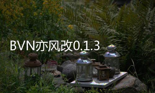 BVN亦风改0.1.3