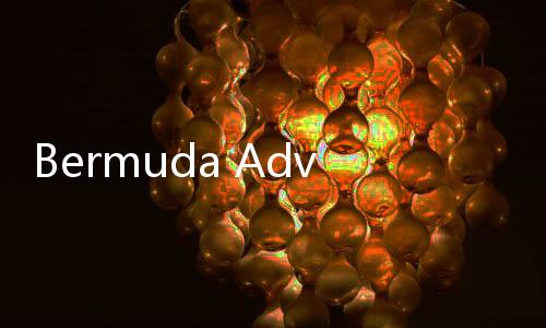 Bermuda Adventures安卓版