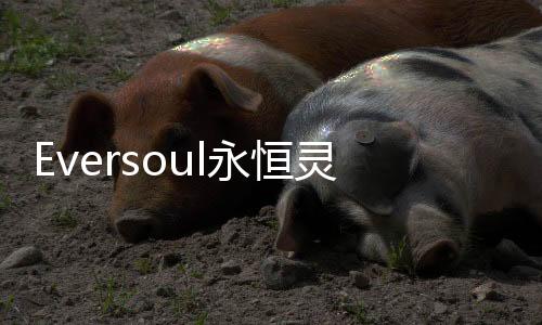 Eversoul永恒灵魂日服