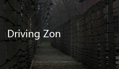 Driving Zone: Germany真人汽车驾驶德国安卓最新版