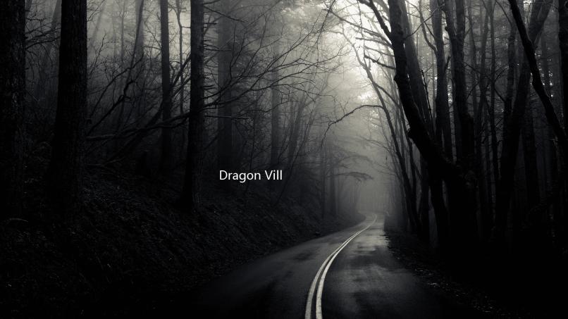 Dragon Village Collection龙村收集
