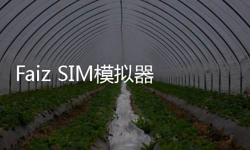 Faiz SIM模拟器