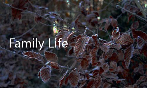 Family Life家庭生活免广告