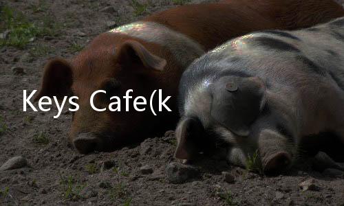 Keys Cafe(keyscafe多彩键盘)