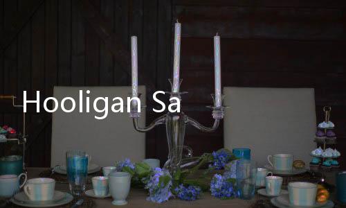 Hooligan Sandbox免费版