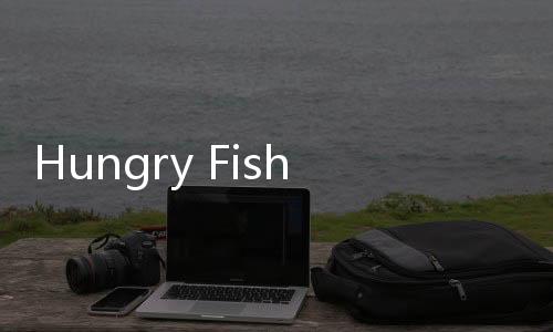 Hungry Fish.io游戏