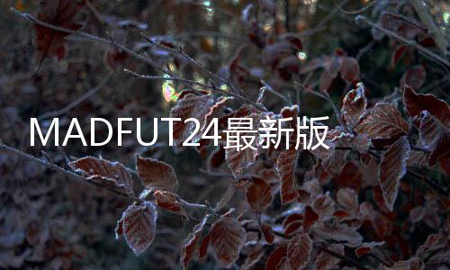 MADFUT24最新版本