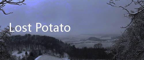 Lost Potato迷失土豆免广告