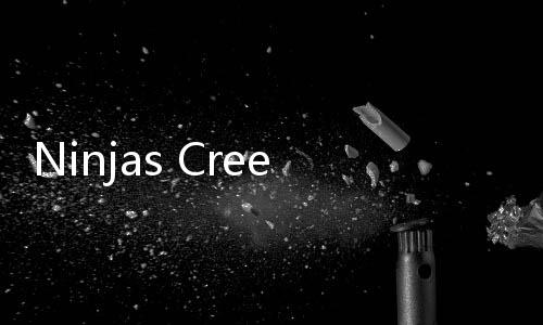 Ninjas Creed安卓破解版
