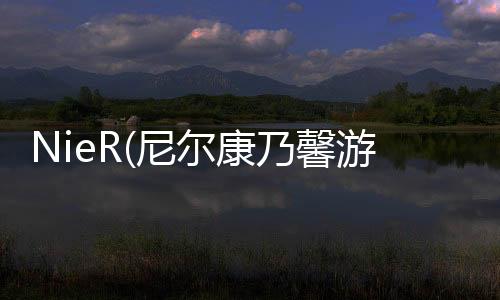 NieR(尼尔康乃馨游戏)