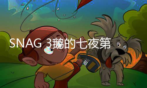SNAG 3鹅的七夜第三章