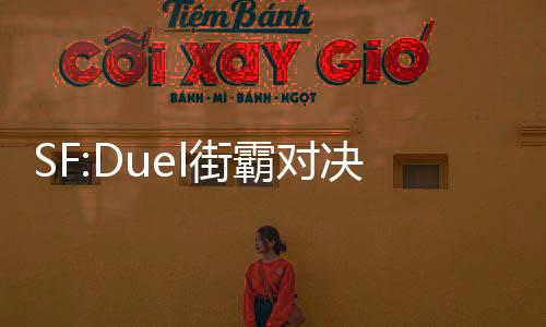 SF:Duel街霸对决国际服