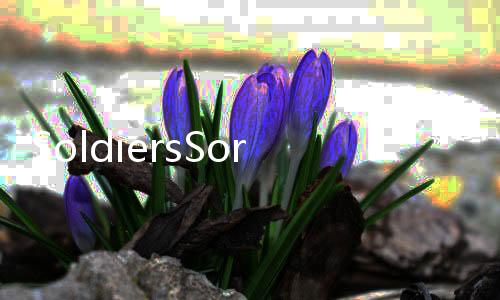 SoldiersSortie萌军出击游戏安卓版