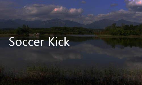 Soccer Kick(飞翔的足球安卓版)