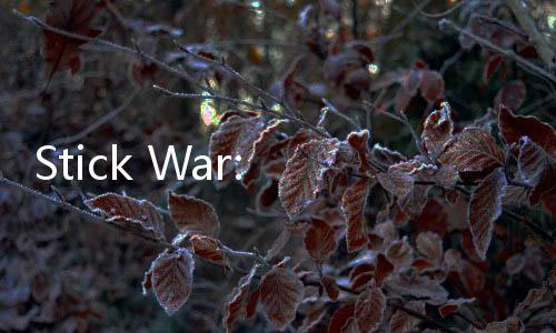 Stick War: Legacy(火柴人战争遗产修改器最新破解版)